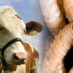 Lafayette fortalece la protección en el trabajo con soluciones textiles de alto desempeño