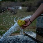 Estrechan alianza en favor de la educación Elisia Education Hub y Fundaju