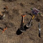 Después de los días santos, los tambores de rompimiento social