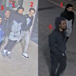 Estrecho de Ormuz: cruceros sin pasajeros logran salir del golfo Pérsico tras el cierre de la ruta