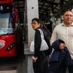 Sedema retirará 9 mil palmeras icónicas: ¿Qué plaga las amenaza?