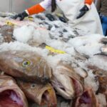 Trump afirma que Irán le ha pedido un alto el fuego y Teherán lo niega