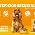 FCB Newlink México presenta “Placeres Reales” para Trojan: cuando la conexión digital se atreve a volverse real 