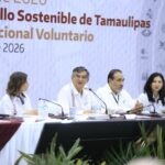 Nueva Línea Ricitos de Oro Aloe & Caléndula: La alternativa para proteger de forma natural la piel sensible del bebé