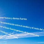 El talento que la IA no sustituye: lo que el nearshoring exige a las universidades