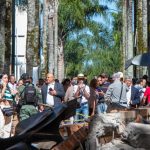 Hospitales de Cali se declaran en alerta roja con 456 heridos tras terremoto