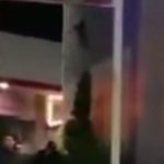 Engaño y despojo frustrado en Magdalena de las Salinas: 8 detenidos