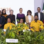 «Es exagerado»: Sheinbaum rechaza el aumento presupuestal propuesto por el INE para 2027