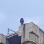 Pasajero de moto por aplicación muere en la Condesa tras caer debido a choque y ser arrollado por unidad de carga