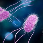 Nuevas alternativas para el tratamiento del cáncer de hígado en Monterrey