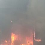 Indignación en Tlatelolco por la muerte de un perro al caer desde el piso 11 de un edificio