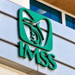 Contrataciones millonarias del IMSS adjudicadas con declaraciones falsas