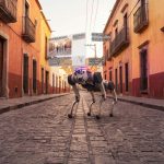 Niños con discapacidad en riesgo por daño estructural en escuela, denuncia concejal de Azcapotzalco