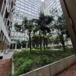 DEACERO certifica la varilla corrugada de su Planta León con la Norma Oficial Mexicana NOM-251-SE-2025